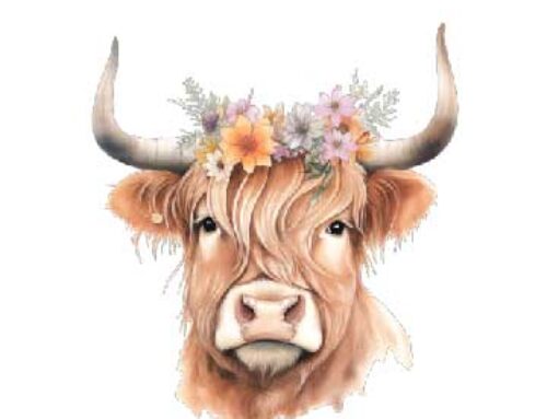 Free Watercolor Highland Cow Clipart