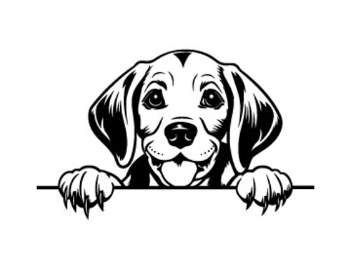Free Peeking Beagle SVG
